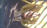 Chien et toboggan