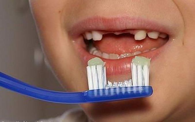 Une brosse à dents adaptée aux enfants qui perdent leurs dents de lait
