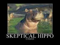 Hippo septique