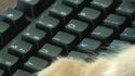 Chatroulette 18