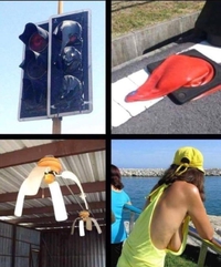 La canicule a fait fort 