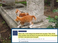 Quand je serai mort
