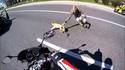 Civic puppy chase