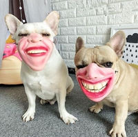 N'ayez pas peur, ils ne mordent pas !