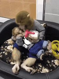 La jeunesse de Phil_good et d'Offerus