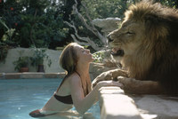 ELLE CRACHE À LA GUEULE D'UN LION