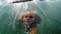 Selfie aquatique