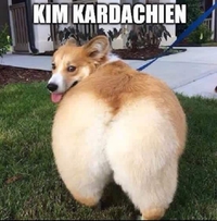 Le chien de Kim
