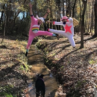 Promenons nous dans les bois