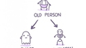 Human life cycle 