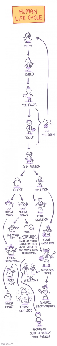 Human life cycle 