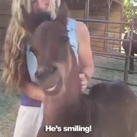 J'en parlerai à mon cheval