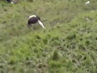 Comment ne pas descendre une colline
