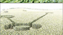 Origine des crop circles