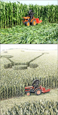 Origine des crop circles