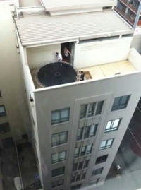 Trampoline (level 'warrior')