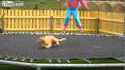 Faire du trampoline avec son chat