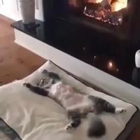 En mode 
