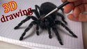 Dessin d'une araignée réaliste