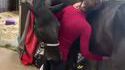 Plaisir mutuel