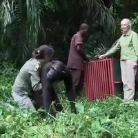 Je ne vous emmerde pas et je rentre à ma maison