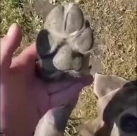 Who you gonna call ??