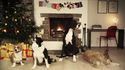 Des chiens chantent Jingle Bells