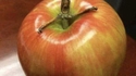 Il s'enlise dans une pomme...