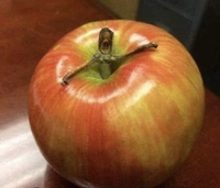 Il s'enlise dans une pomme...