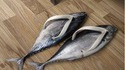 Chaussures poissons
