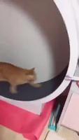 Allez c’est l’heure de la gym