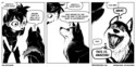 Le monde selon les chiens