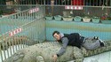 Croco géant