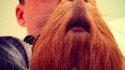 Une barbe