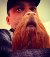 Une barbe