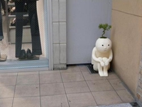 Un pot seul