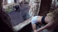 La planète du twerk
