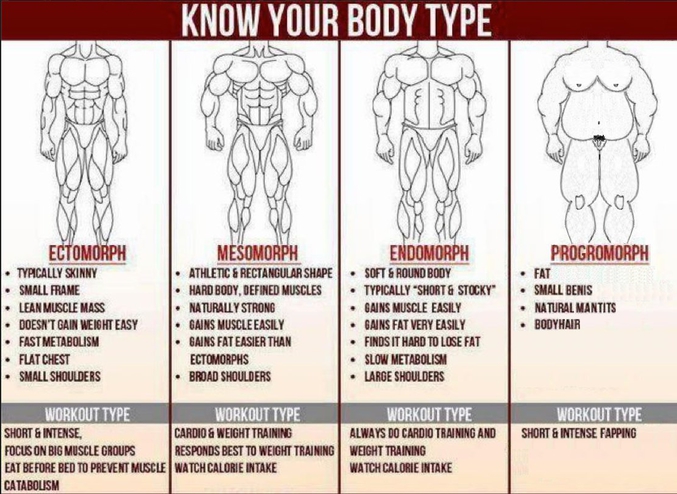 Et vous, quelle est votre morphologie ?