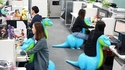 Dino riders