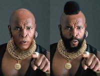 Mister T. imberbe