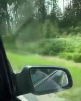 Au bord de la route