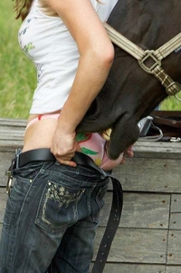 Le bisou du cheval