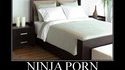Porno ninja