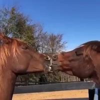 Ça me rappelle mon premier baiser