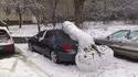 Phallus des neiges