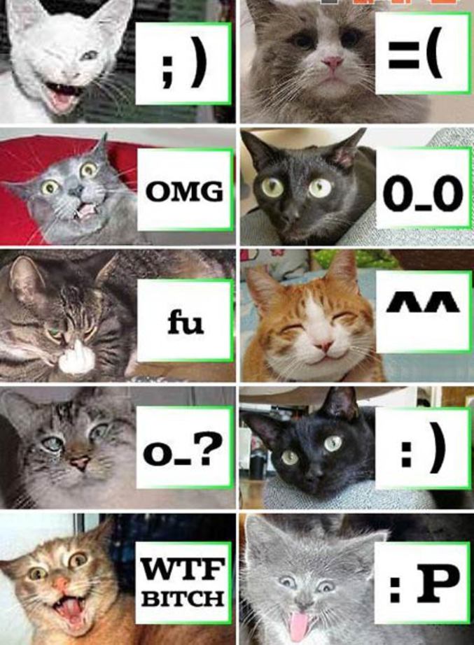 Les smileys illustrés par des chats