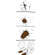Expulsion !