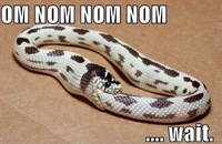 Nom, nom, nom