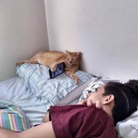 Utiliser correctement son chat