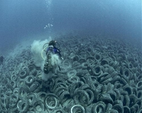Osborne Reef, Floride
